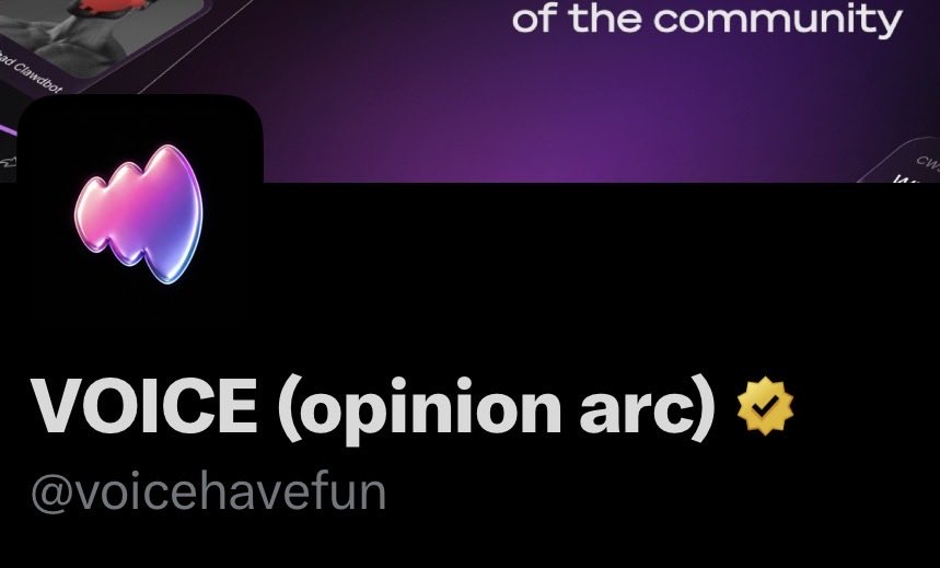 VOICE (opinion arc) tweet media