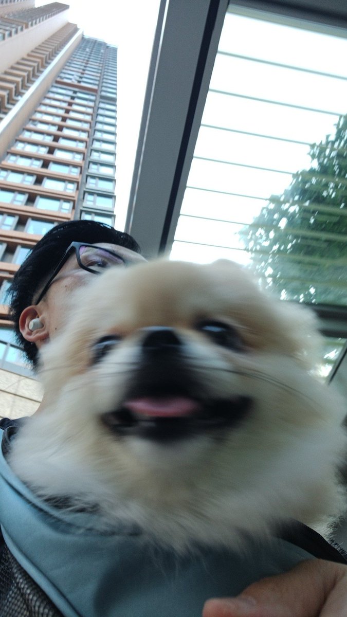 sarayip3's tweet photo. 光速we
焗打風 熱到賴屎
_(:3」∠ )_ https://t.co/HwJFb9KG3B