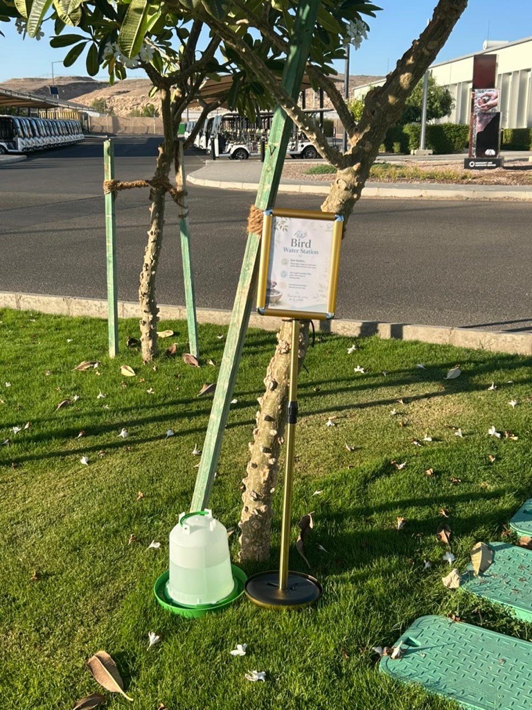 المسؤولية الاجتماعية في نيوم tweet media