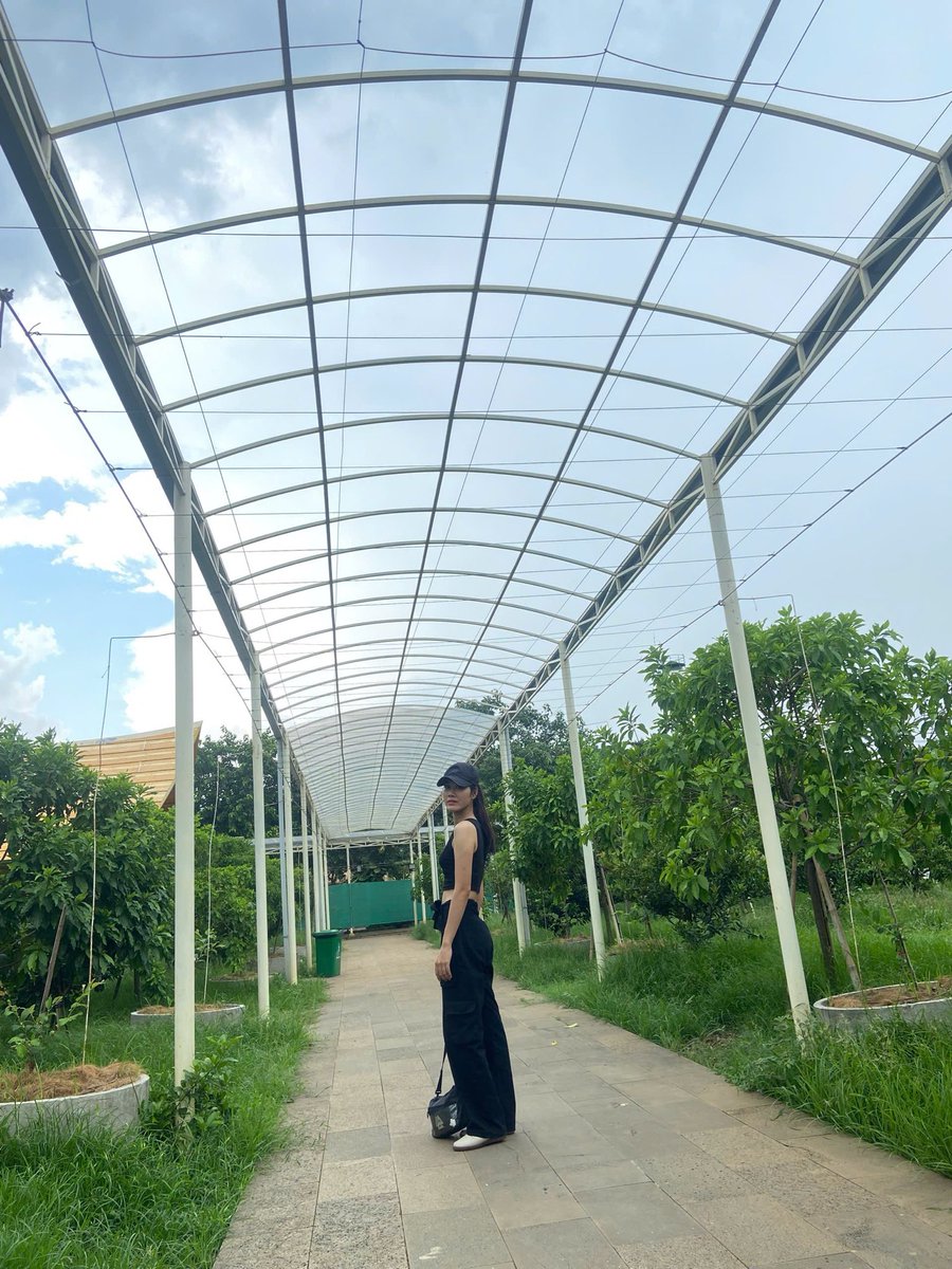 Doona_Web3's tweet photo. 💥💥💥Suối Tiên💥💥
⭐️Xuất hiện mấy chục năm rồi ⭐️
☘️ vẫn có nhiều người chưa đi, phải không? ☘️
#suoitien https://t.co/W73NeAvr58
