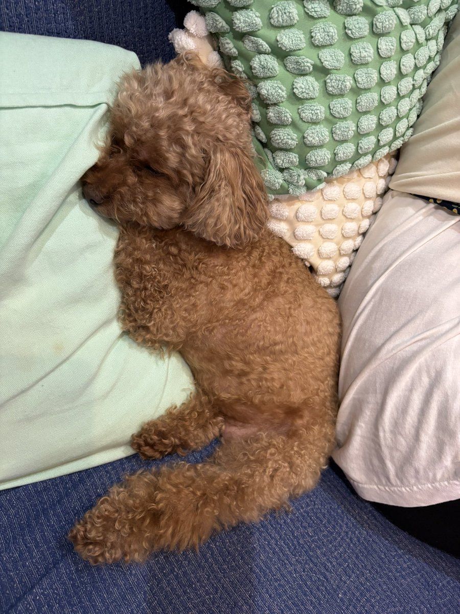 masagomgom's tweet photo. 全力脱力タイムズ https://t.co/JgyiG1j43k