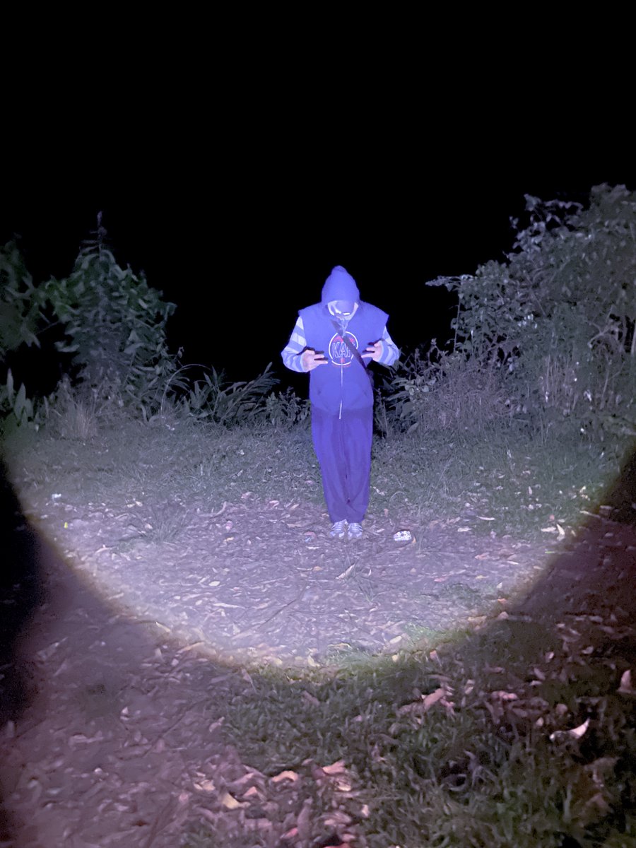 JogoShit's tweet photo. Sabroso ir de noche al bosque https://t.co/lRjiElGMuq