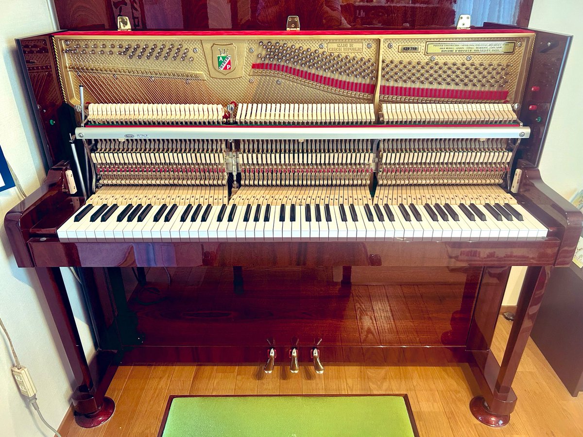 pianoprep2013's tweet photo. 本日は川崎市でペトロフP118P1マホガニー艶出モデルのメンテナンス🇨🇿🎹
お母様が「いつか子供も弾いてくれたら...」と思い切って購入されたのが8年前。その願いが叶って中学生に成長されたお子様は空手＆陸上に打ち込みながらピアノにも夢中。現在演奏だけではなく作曲にもトライされているそうです🎼 https://t.co/MfW1LMVYui
