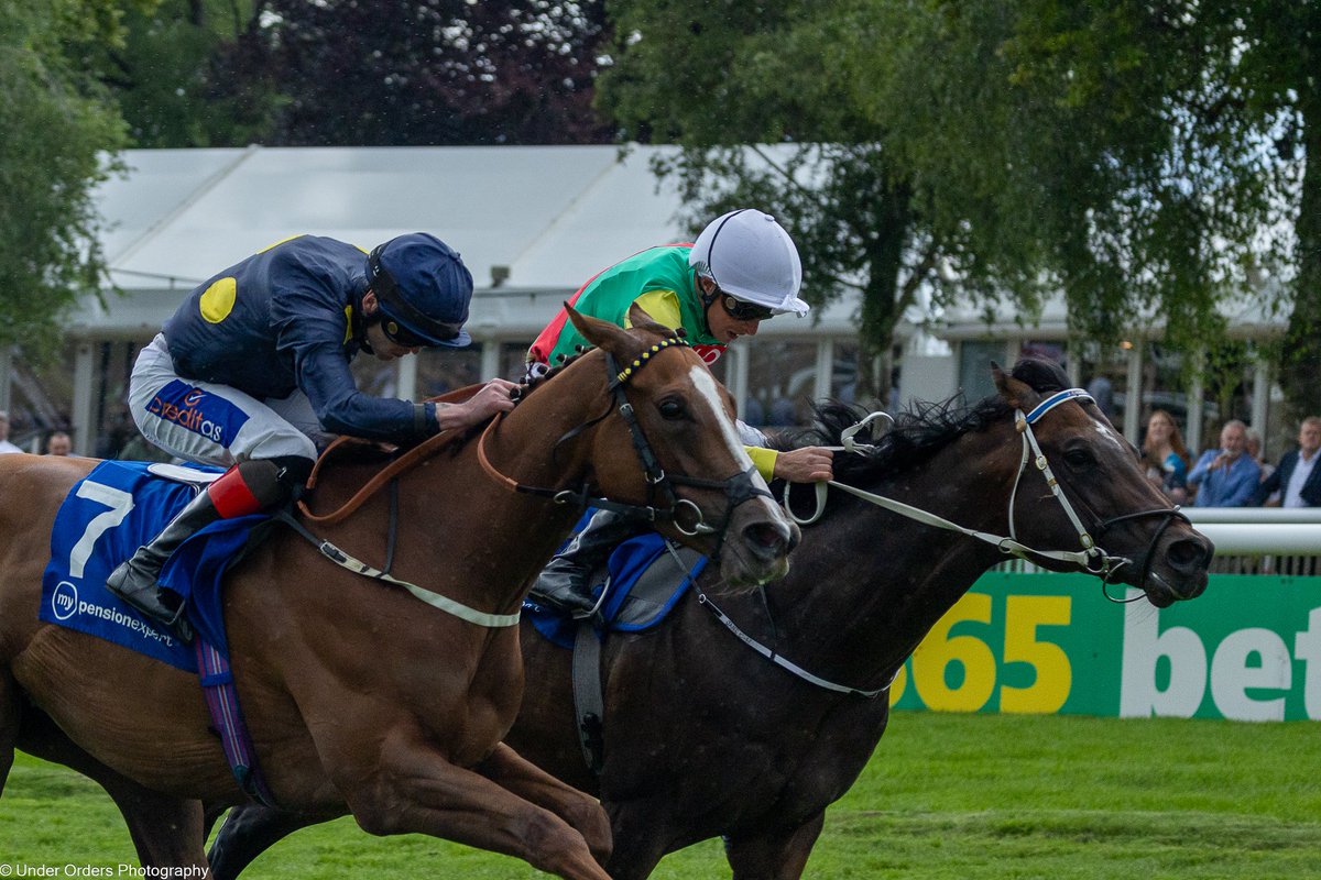 under_orders's tweet photo. My 4th July Cup @NewmarketRace on the spin. fingers crossed Venetian Sun runs and puts her best hoof forward. fantastic days racing all the same. #Goracing #horsepower #horsephotography https://t.co/1QS2cFst16
