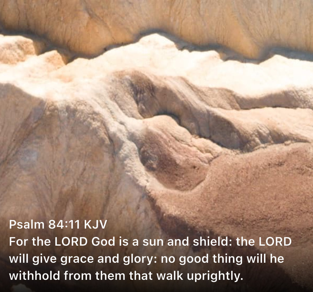 neumarine's tweet photo. This verse does not promise that God will give us everything we think is good but that he will not withhold from us what is permanently good. https://t.co/lrmj0EhcDY