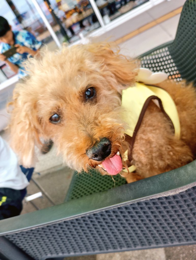 vuik961's tweet photo. 打ち上げゆず庵なう

半期は昨対200％
ありがとう(⁠ ⁠◜⁠‿⁠◝⁠ ⁠)⁠♡

12月まで休み無し
来週からは初商業施設
授賞式やら
夏学童も頑張るぞー＼(^o^)／ https://t.co/LG5MIUWR0a