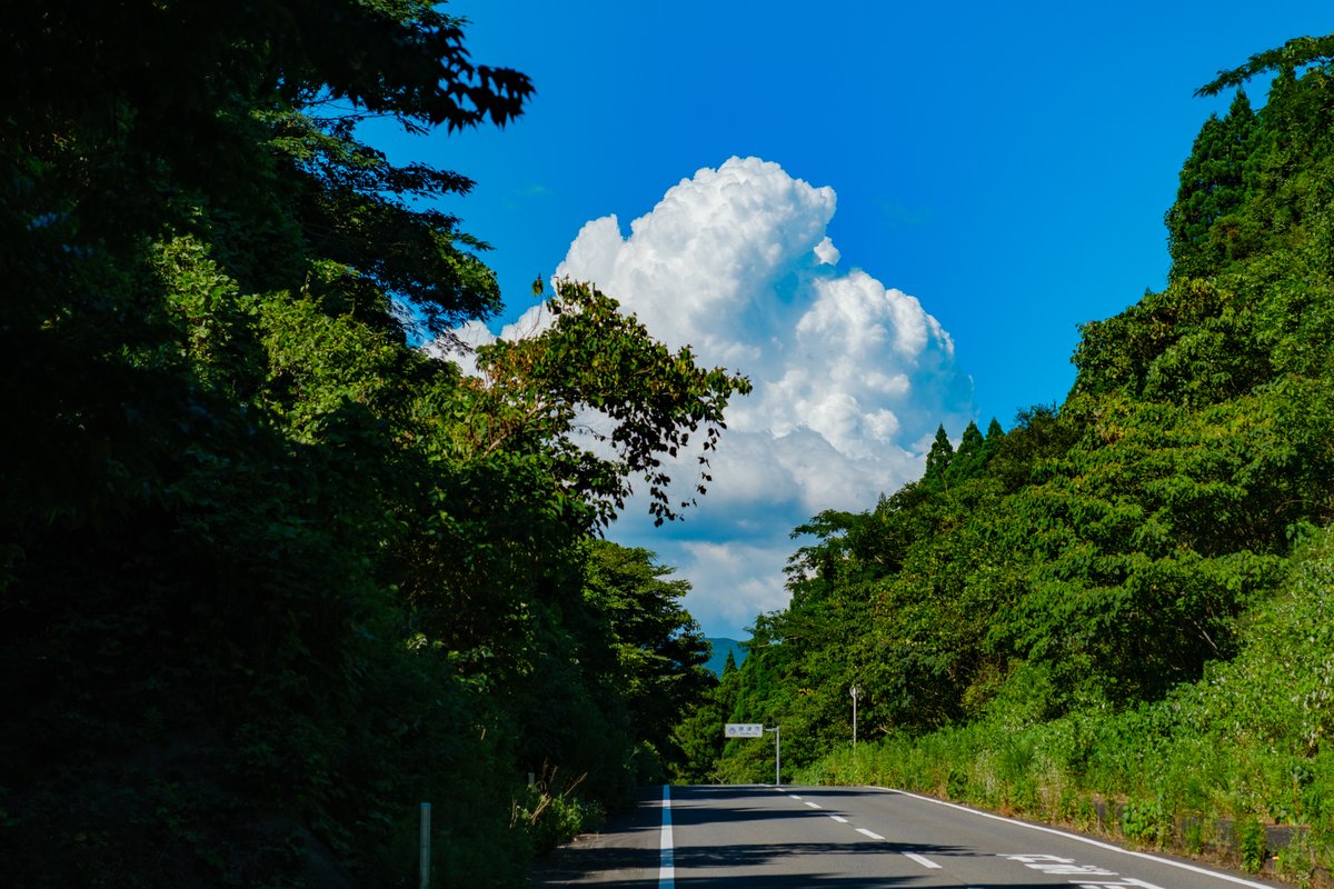 これはちょうど良い場所にいたもくも雲です