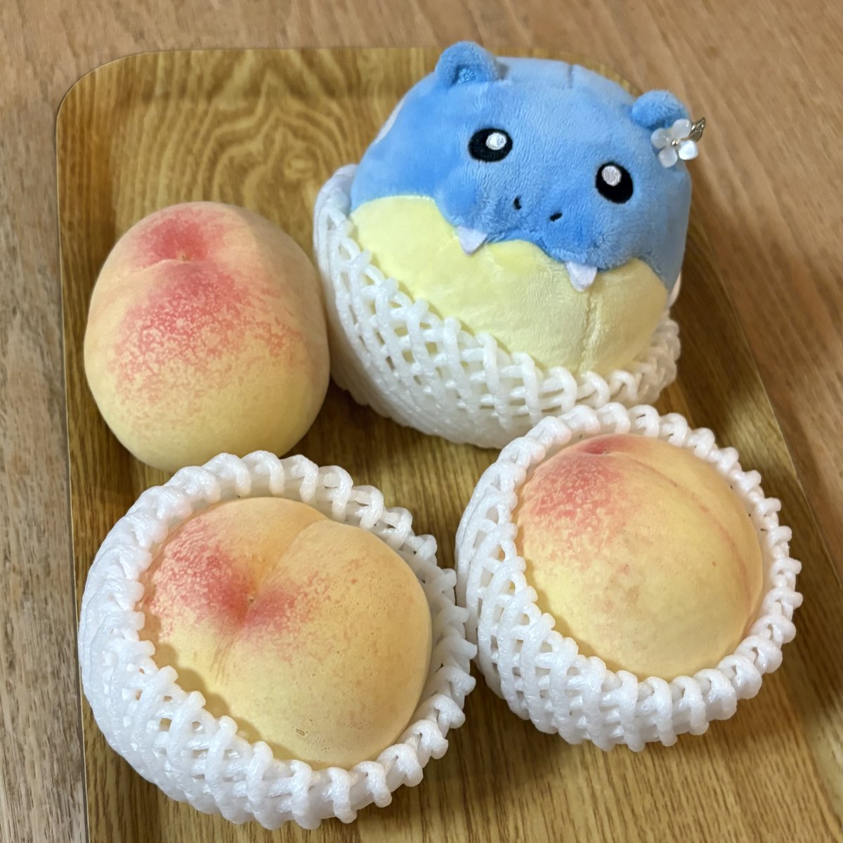 タマちゃんdays tweet media