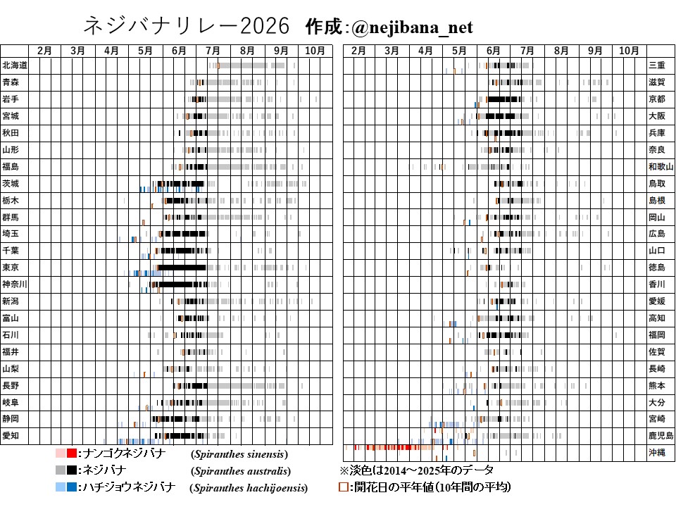 nejibana_net's tweet photo. 【拡散希望】ネジバナリレー2026を更新しました【7/11】
ネジバナやナンゴクネジバナ、ハチジョウネジバナ等の花を見かけたら、花の写真と撮影日、撮影した区市町村名、#ネジバナリレー2026 を付けて投稿してください。DMでのやりとりも可能です。 https://t.co/C5V25Cjnji