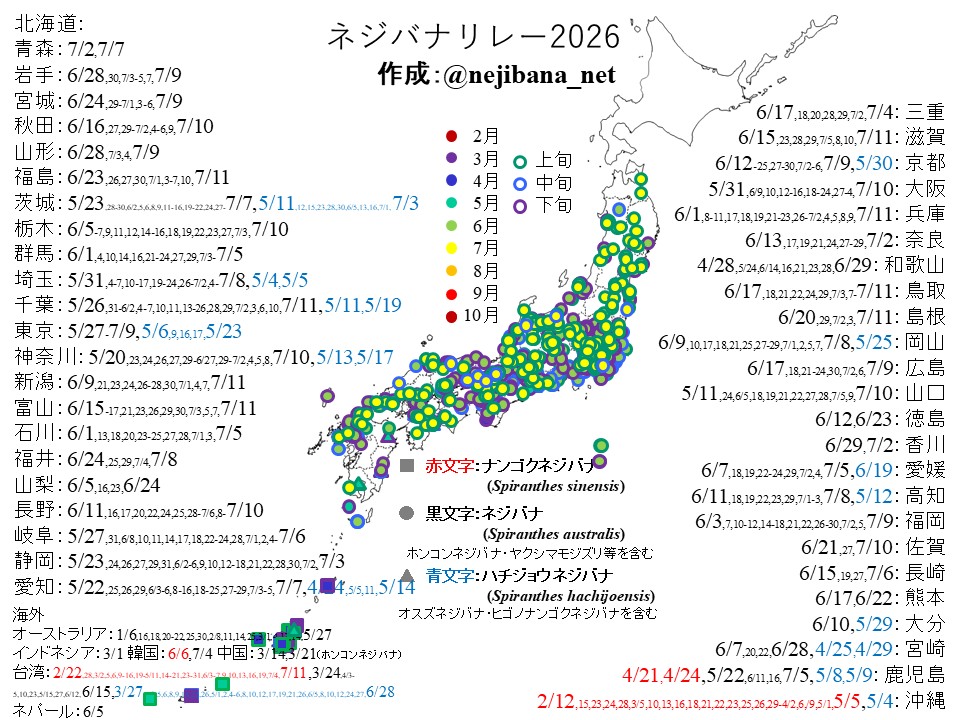 nejibana_net's tweet photo. 【拡散希望】ネジバナリレー2026を更新しました【7/11】
ネジバナやナンゴクネジバナ、ハチジョウネジバナ等の花を見かけたら、花の写真と撮影日、撮影した区市町村名、#ネジバナリレー2026 を付けて投稿してください。DMでのやりとりも可能です。 https://t.co/C5V25Cjnji