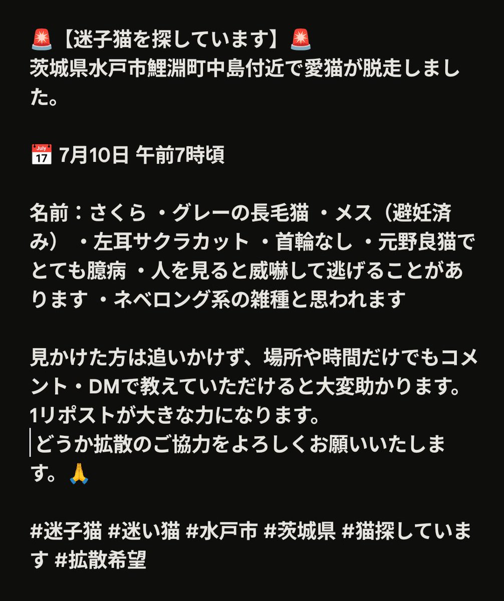takedasingensan's tweet photo. 🚨【迷子猫を探しています】🚨
茨城県水戸市鯉淵町中島付近で愛猫が脱走しました。

📅 7月10日 午前7時頃

名前：さくら ・グレーの長毛猫 ・メス（避妊済み） ・左耳サクラカット ・首輪なし ・元野良猫でとても臆病 ・人を見ると逃げる

#迷子猫 #迷い猫 #水戸市 #茨城県 #猫探しています #拡散希望 https://t.co/3Mz1rKCJuP
