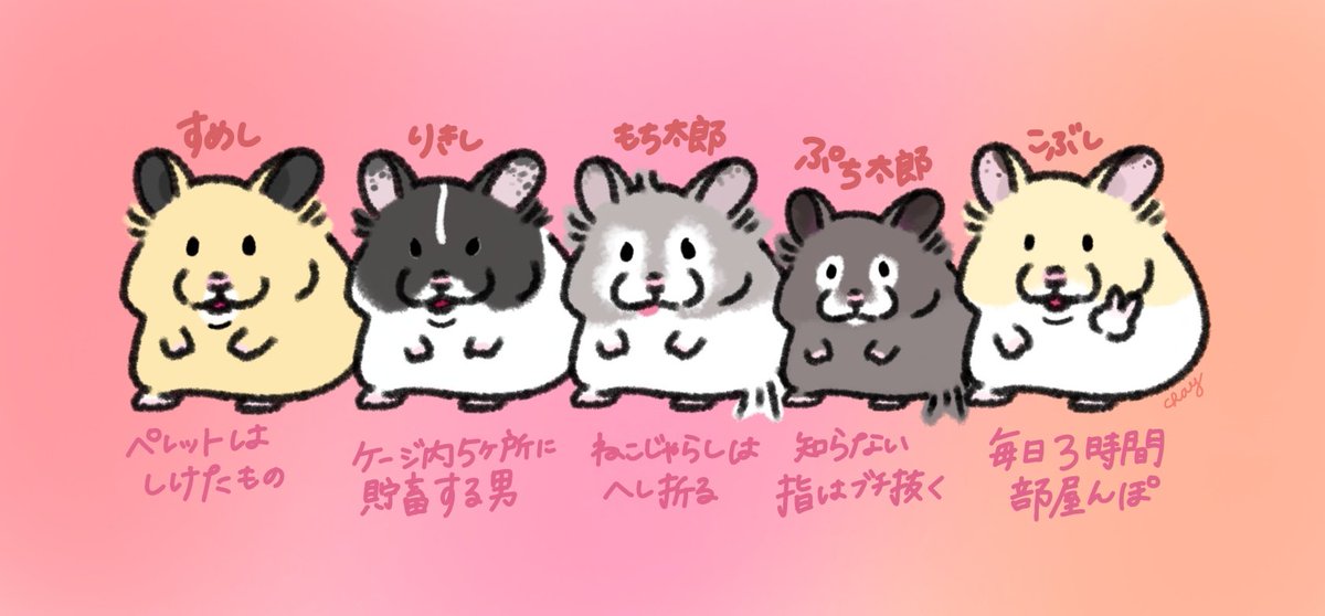 うちのハムちゃんズ✍️（更新）
