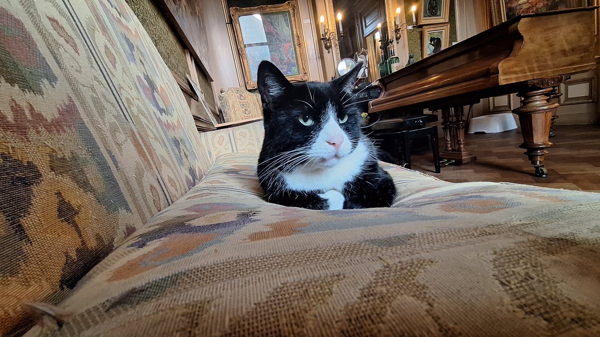AnnRoither's tweet photo. @fingurplaustert Kleiner Tipp von meiner Tochter und mir. Het Kattenkabinett in Amsterdam in der Heerengracht. Lego werden wir wieder besuchen und Elbenwald auch. https://t.co/o1HScslaw9
