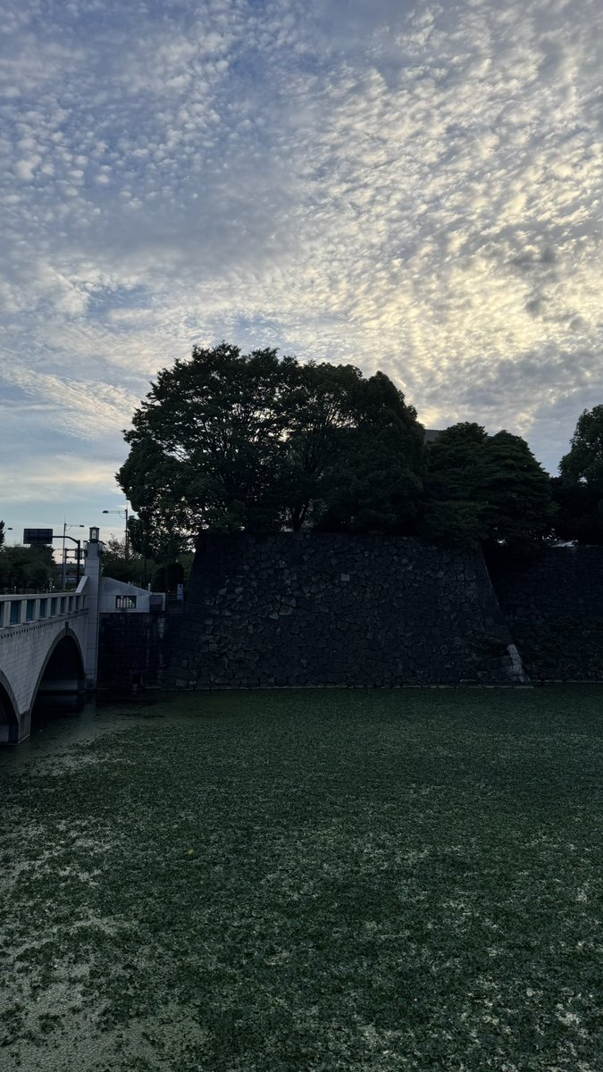 extudes's tweet photo. 新橋と竹橋。東美から近美へ。 https://t.co/MJ4LXkGBNs