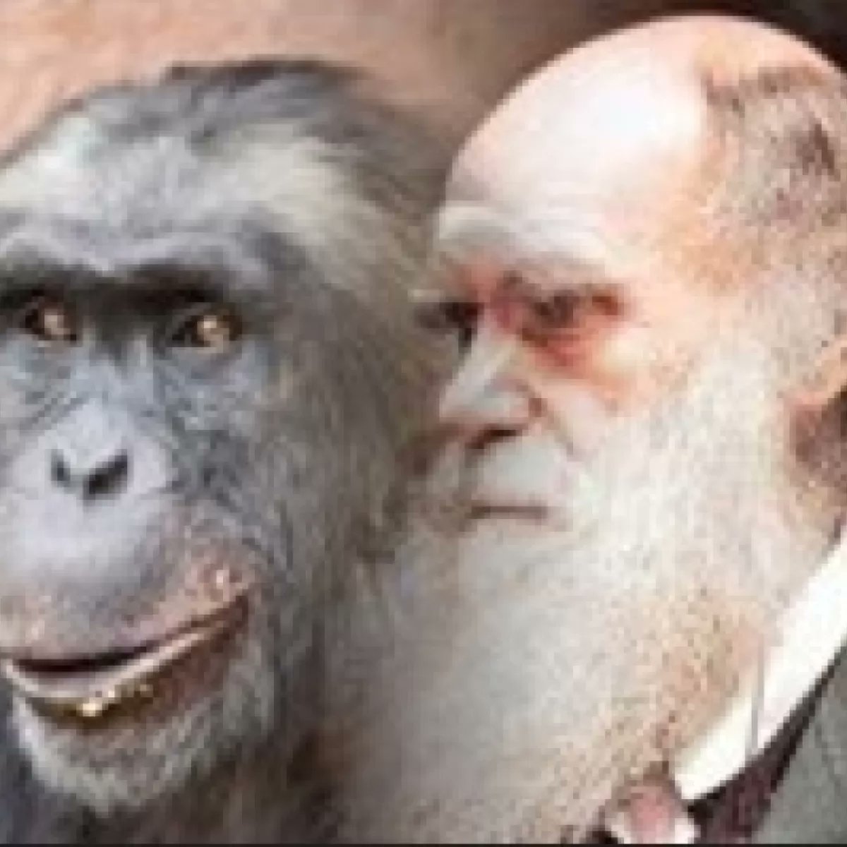 Briyah1mpp's tweet photo. @RevRayCistman Dirty white monkey fucking, baby eating , 911 killers , Epstein file hiding demons don’t even have no culture! Cotton skin filthy muddy sweaty piglets https://t.co/JCN69dbEIT