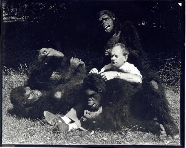 Briyah1mpp's tweet photo. @RevRayCistman Dirty white monkey fucking, baby eating , 911 killers , Epstein file hiding demons don’t even have no culture! Cotton skin filthy muddy sweaty piglets https://t.co/JCN69dbEIT