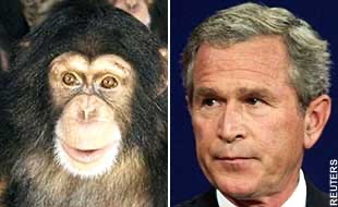 Briyah1mpp's tweet photo. @RevRayCistman Dirty white monkey fucking, baby eating , 911 killers , Epstein file hiding demons don’t even have no culture! Cotton skin filthy muddy sweaty piglets https://t.co/JCN69dbEIT