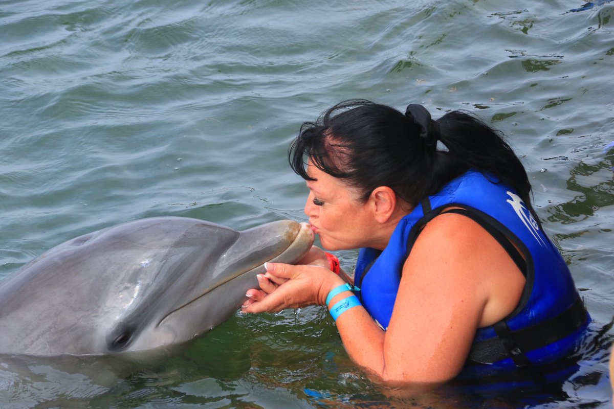 scattykathy's tweet photo. Such a amazing time in domican republic https://t.co/ry4GCzfKcM