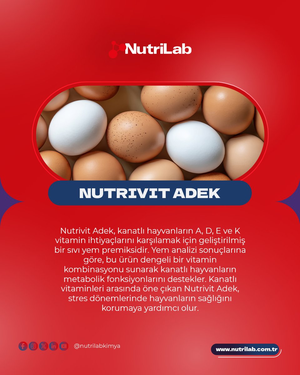 NutrilabKimya's tweet photo. Nutrivit Adek, kanatlı hayvanların A, D, E ve K vitamin ihtiyaçlarını karşılamak için geliştirilmiş bir sıvı yem premiksidir. https://t.co/2a0z1j6KjH