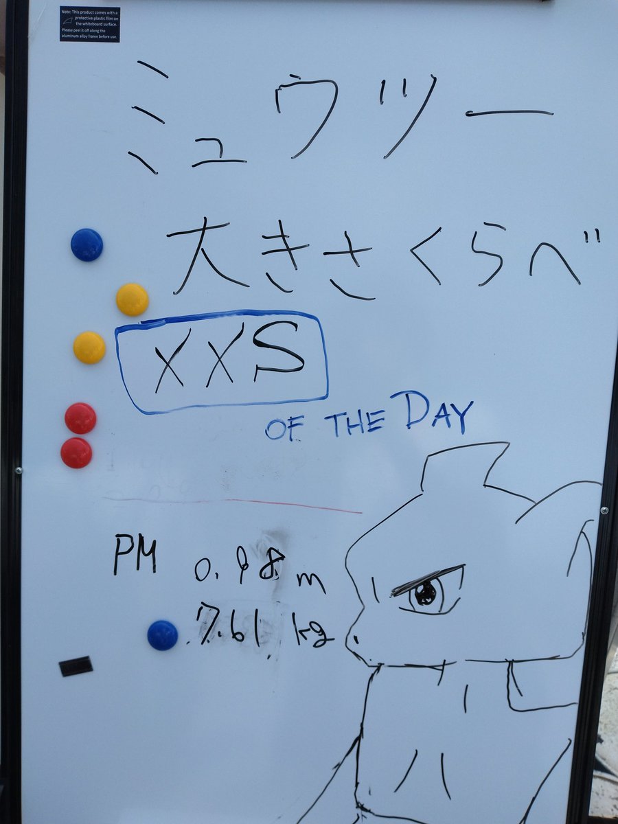 myu784's tweet photo. 明治公園で見たミュウツーのXXSの記録はもっと小さいラキ！ https://t.co/VymuhavGAn