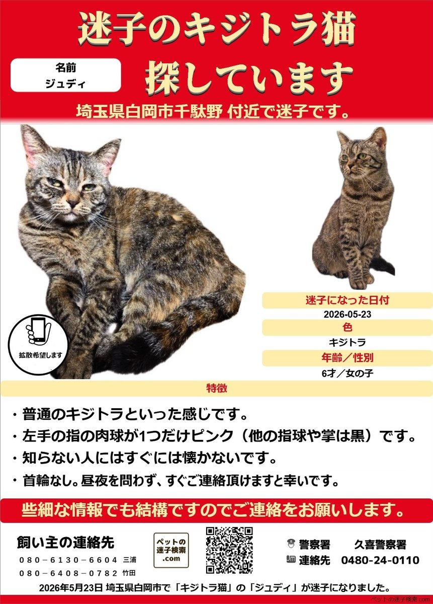 pennsylvania65k's tweet photo. 固定の猫が失踪し7週間になります
生きているとしたら移動したかもしれませんので、やや遠くの方も気にかけて頂けると幸いです
毎日探してますが、本当に苦しいですね。思い出しそうになると無理やり蓋をして、なんとか死なずにいる感じで
#迷子猫 #迷い猫 #拡散希望 #埼玉県 #白岡市 #千駄野 #小久喜 https://t.co/bIiFdRBFre