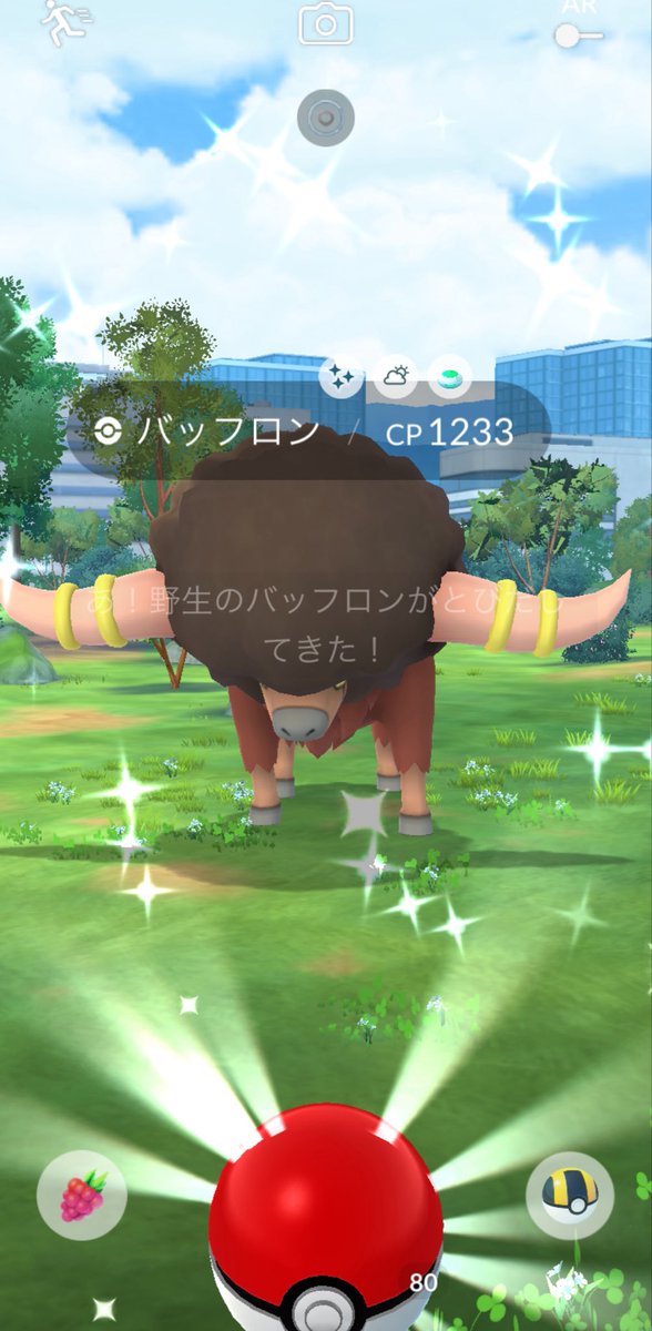 susun0997's tweet photo. バッフロン✨と100ミュウツー
 #ポケモンgo https://t.co/y9zytSJssB