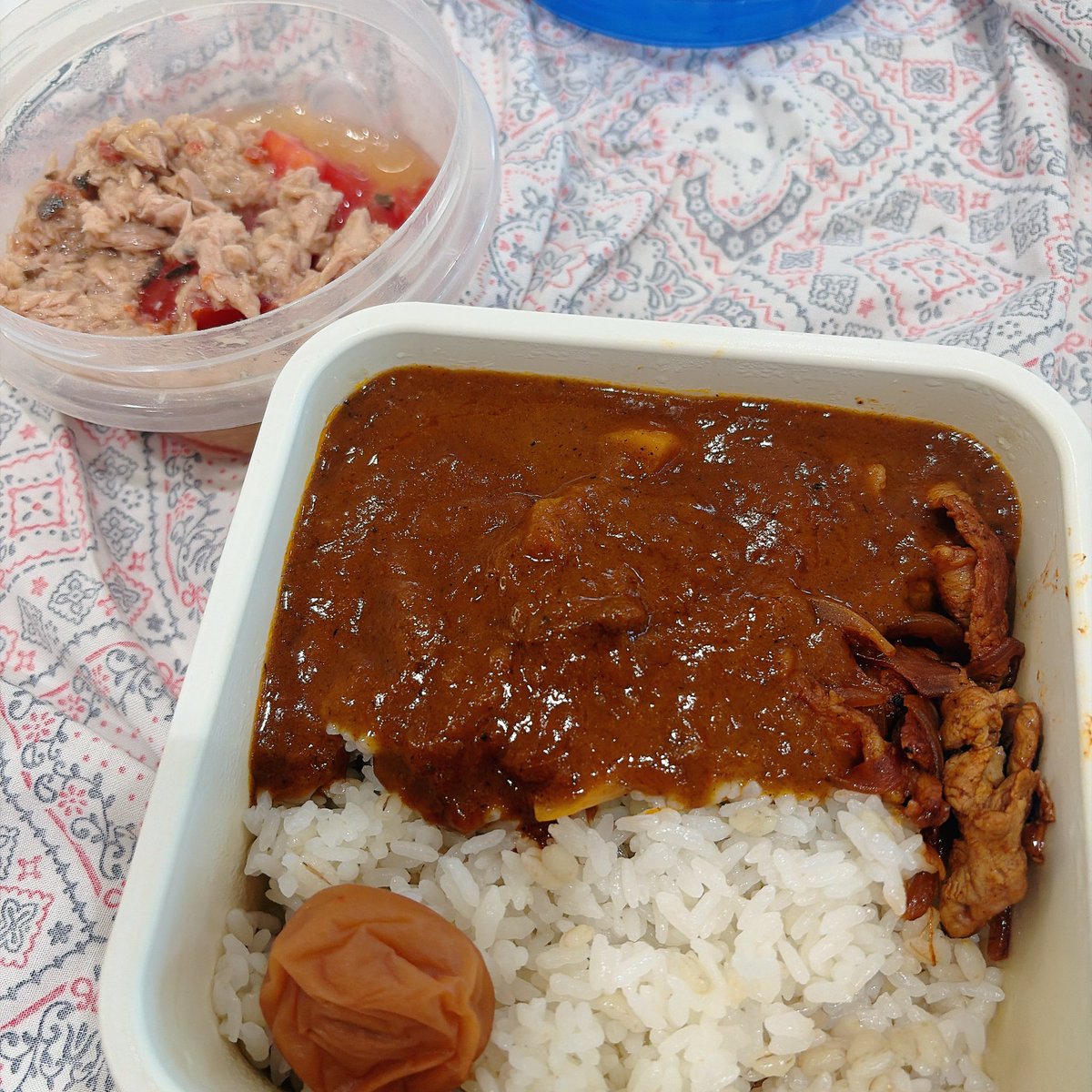 hashiru_taberu's tweet photo. なお、
昨日の弁当はこれ https://t.co/KAZ3FpRFH2