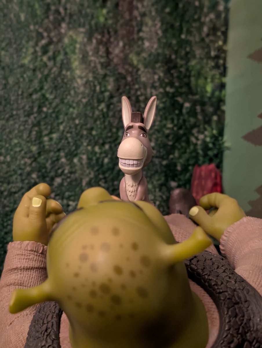jmdooner's tweet photo. Donkey:  "Shrek, wake up it's 5. Wake up, Shrek. Remember, Shrek, we're working on 5?
Shrek:  "I know, Donkey, Shrek 5 next year. I know!
Donkey:  "What?  I'm talking about 5AM! Remember you promised me 5 waffles at 5AM! All you got in your house is toadstools. How my gonna make waffles with toadstools? Huh, Shrek? Shrek? Shrek...?"