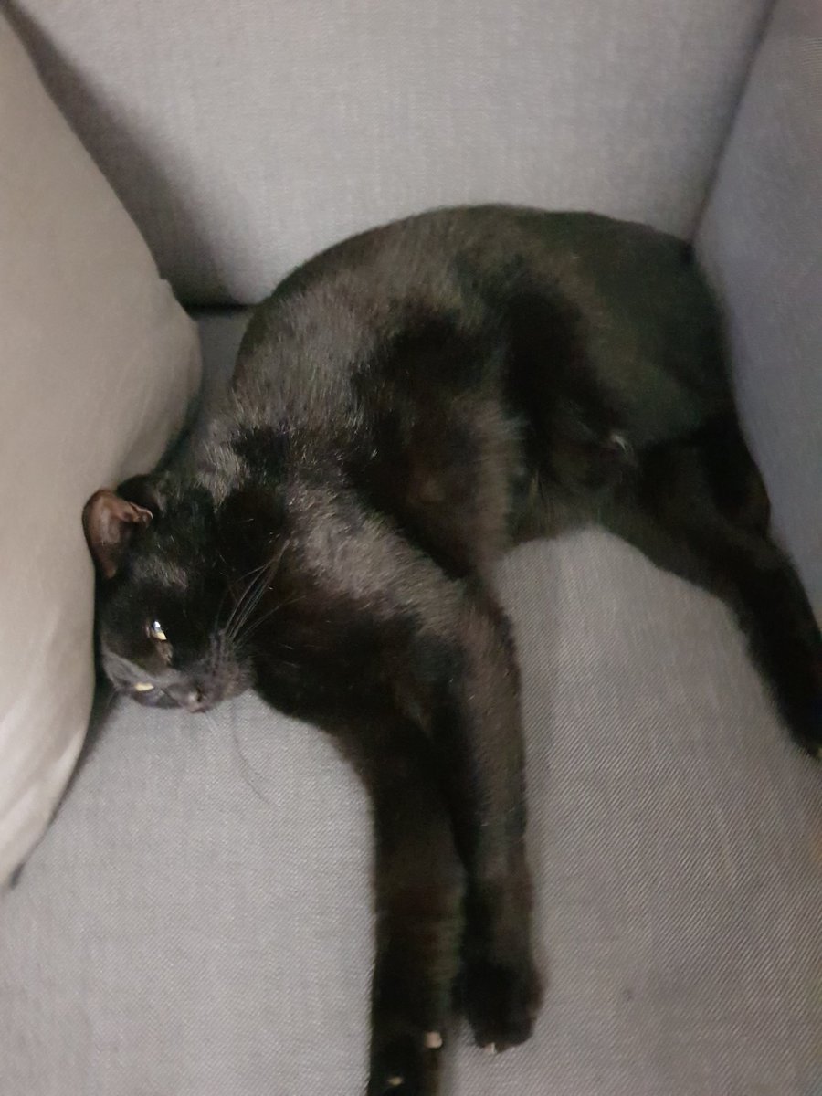 THICCChtofen's tweet photo. @ayogiovanna Not sure what you'd call this position https://t.co/oMlbjEXcuy