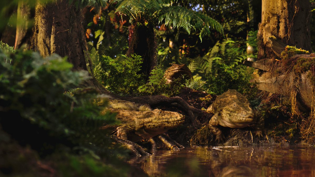 raftingzalmoxes's tweet photo. #SurvivingEarth
Tim Haines's practical FX work paid off. The Carboniferous rainforests have never looked so real and beautiful... https://t.co/ddyrZZBYnd