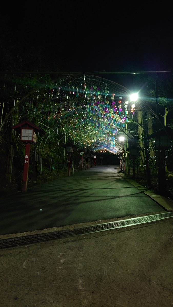 OkaginW's tweet photo. 帰路、夜24:00に福岡の宮地嶽神社（みやじだけじんじゃ）へ、風鈴1万2千個がライトアップされるという事で行ってみたがライトアップは22:00迄(--;)
特大の注連縄が圧巻でした。写真は、ライトアップされてない風鈴の路と最新手水舎
 https://t.co/OSVzkzANbq https://t.co/HjOtPrTnH5