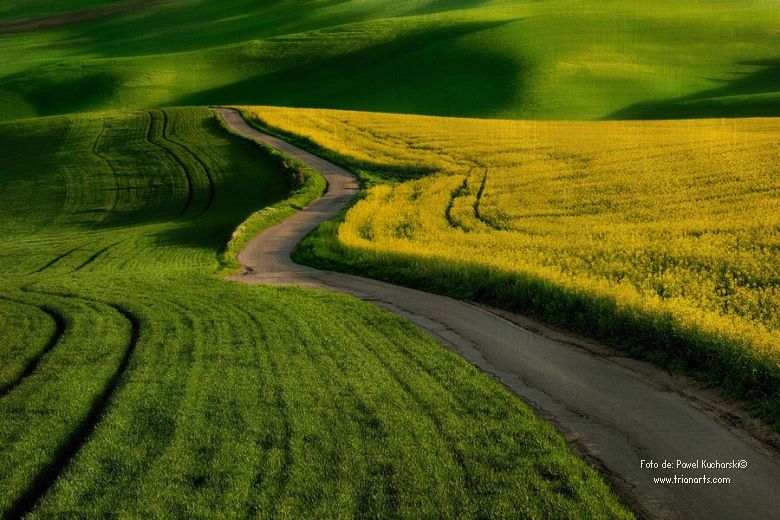 Trianarts's tweet photo. Robert Frost: "El camino no elegido", de "Un valle en las montañas"

https://t.co/OXal1WiDxe

#poesía #poesías #robertfrost https://t.co/CBrh9YY1RM