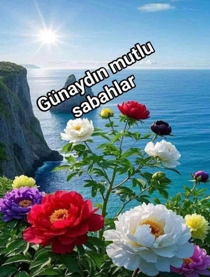 glayli6w's tweet photo. #eskisehirbağlar #eskisehirbayanpartnermutlu 💦Eskişehir 💦05392185062 💦#eskisehirbağlar #eskisehirsex #eskişehirbayan #eskişehirhatboyu #eskişehirtepebaşı https://t.co/8YoSw1Vd8c