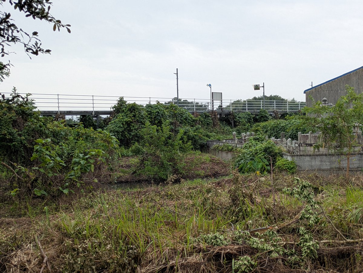 geky3zen's tweet photo. 阿波大谷駅周辺。住宅もありますがかなり田園地帯の
割合が高いようです。商業施設などは全く見当たりませんでした。ホームは盛り土の上にあるようで周囲からは高い場所にあります。 https://t.co/XyWVSYMsgM