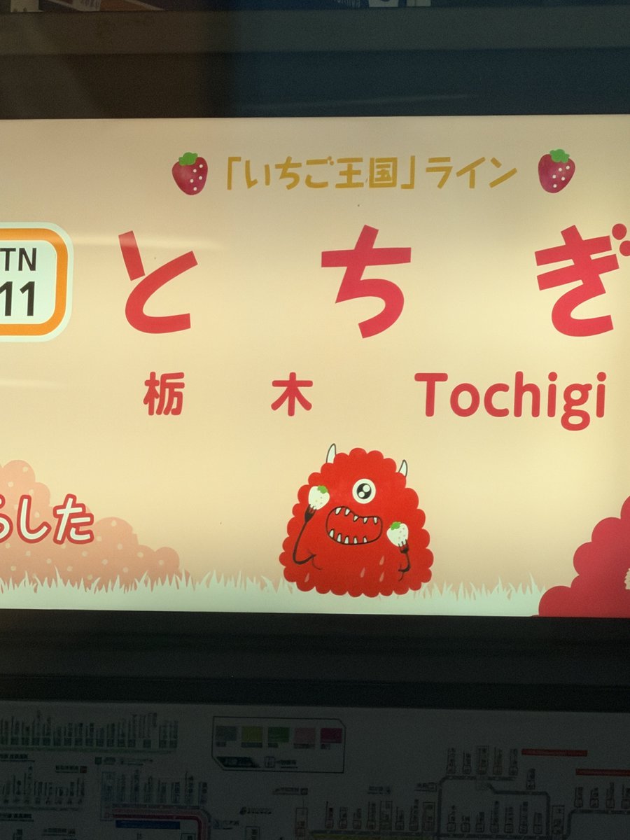 road_mushi's tweet photo. とちぎのフワフワお化けめちゃくちゃ可愛い、目玉食べてるのかと思ったら🍓 https://t.co/3kTvYBjz2V