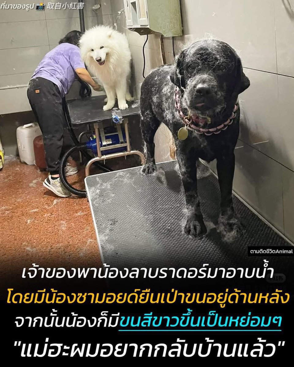 Basniixz's tweet photo. ที่มาของคำว่า “เกิดแต่กับกู” https://t.co/MW9Z9VwQQc