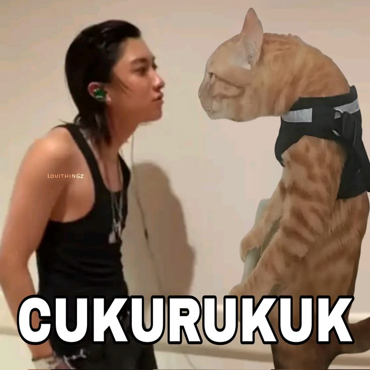 azhenatz_'s tweet photo. @myseanshiine WIKWOK ADA ANOTHER CUKURUKUK https://t.co/HmOOmuF5Av