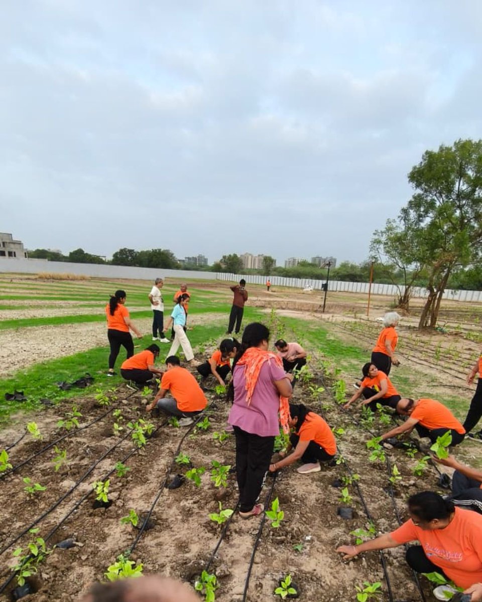 Catchfoundatio1's tweet photo. This morning was filled with energy, smiles & a shared commitment to the environment as 33+ members from Yoga 4 Life came together for tree plantation at #AshokChakraVan. Together, we're planting the seeds for a sustainable tomorrow & building a greener future.
#CatchYourTree https://t.co/VdaDhOkHPe