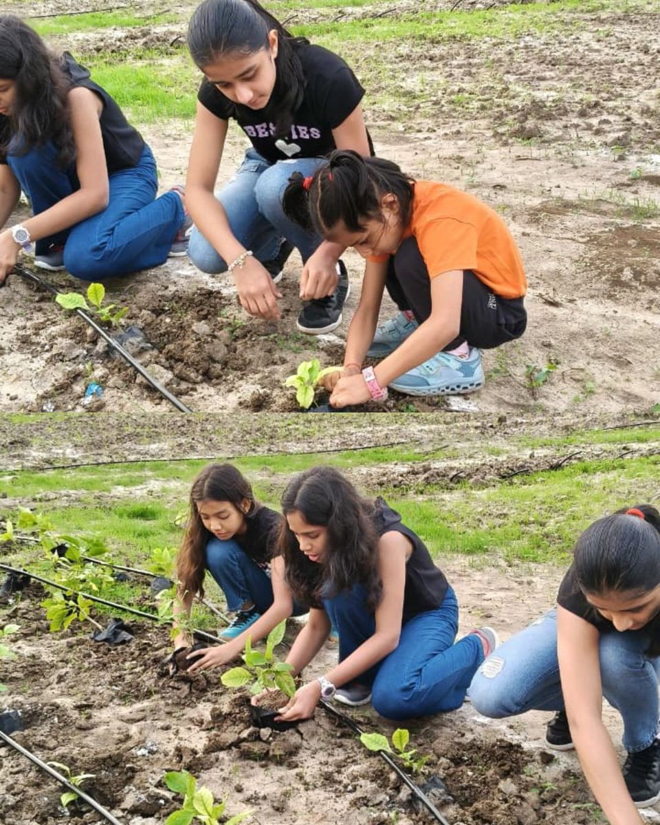 Catchfoundatio1's tweet photo. This morning was filled with energy, smiles & a shared commitment to the environment as 33+ members from Yoga 4 Life came together for tree plantation at #AshokChakraVan. Together, we're planting the seeds for a sustainable tomorrow & building a greener future.
#CatchYourTree https://t.co/VdaDhOkHPe