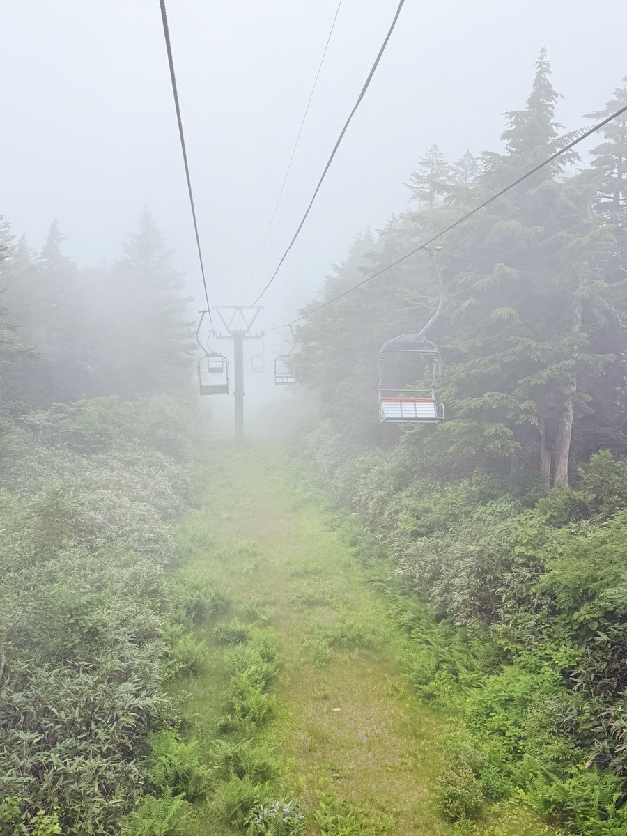 strayhiker's tweet photo. 早朝の東北新幹線で福島へ着き、レンタカーで白布温泉へ。天元台ロープウェイとリフトを3本乗り継ぎ、1.5時間歩いて西吾妻山。 https://t.co/IFSyDAR5HN