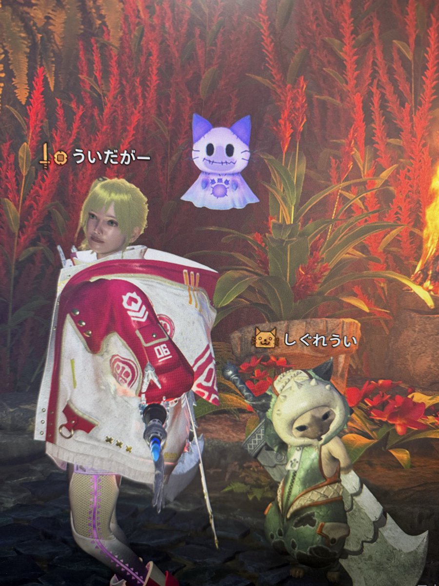 LUNAPAY1009's tweet photo. しぐれういウインター2024にて
チャタカブラ（カエル）とデカい剣
ういだがーを添えて https://t.co/V3dZOA4iba