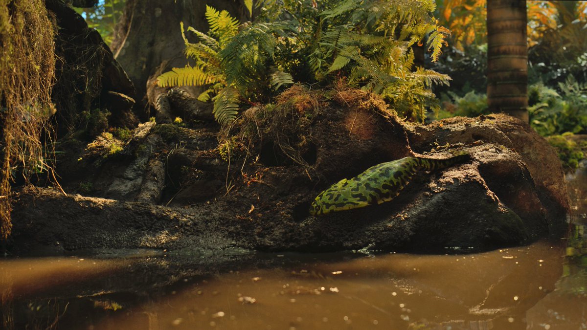 raftingzalmoxes's tweet photo. #SurvivingEarth
Tim Haines's practical FX work paid off. The Carboniferous rainforests have never looked so real and beautiful... https://t.co/ddyrZZBYnd