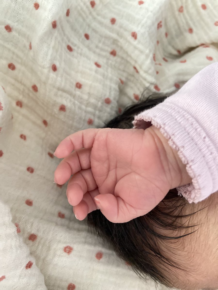psikodeliii's tweet photo. Beste geldi Mia küstü 🥺 https://t.co/FeXwUFfleh