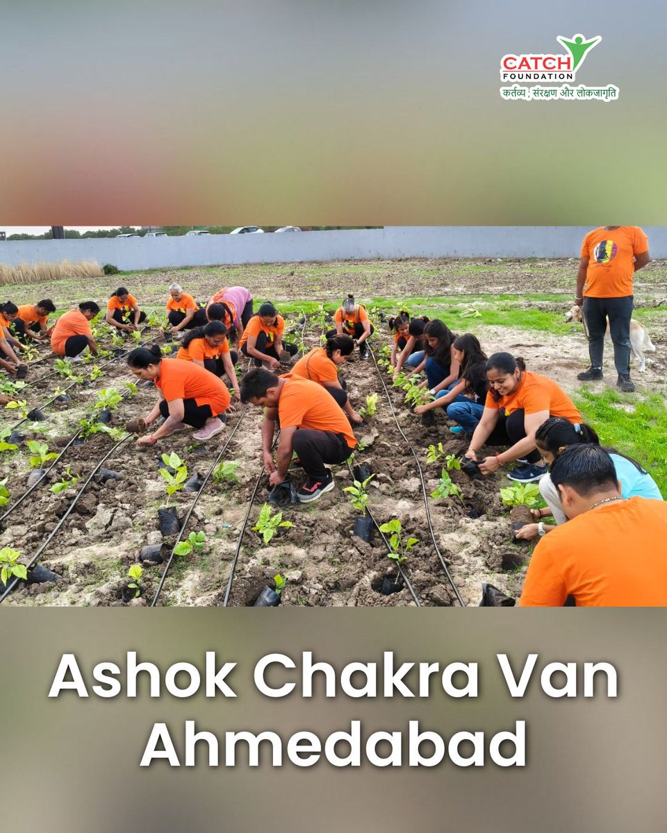 Catchfoundatio1's tweet photo. This morning was filled with energy, smiles & a shared commitment to the environment as 33+ members from Yoga 4 Life came together for tree plantation at #AshokChakraVan. Together, we're planting the seeds for a sustainable tomorrow & building a greener future.
#CatchYourTree https://t.co/VdaDhOkHPe
