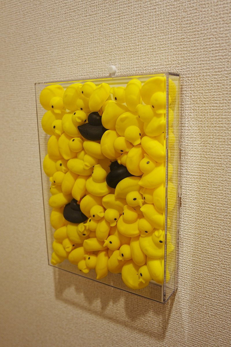 F_odango's tweet photo. 部屋で余ってたお風呂アヒルを箱に詰めて飾りました（？？？？） https://t.co/C04rhHjTf5