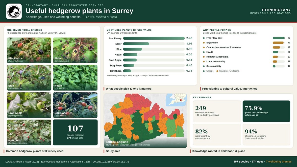 1234eraa's tweet photo. NEW RESEARCH — Useful Hedgerow Plants in Surrey 📷

📷 Read the full open-access paper: https://t.co/BzRQQyH7M0 https://t.co/eNEphSewIL