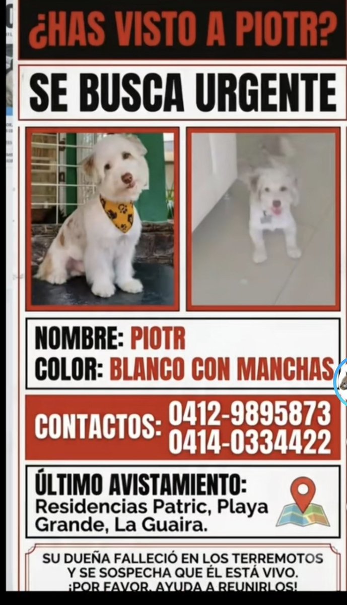 AyudaAnimales♥ tweet media