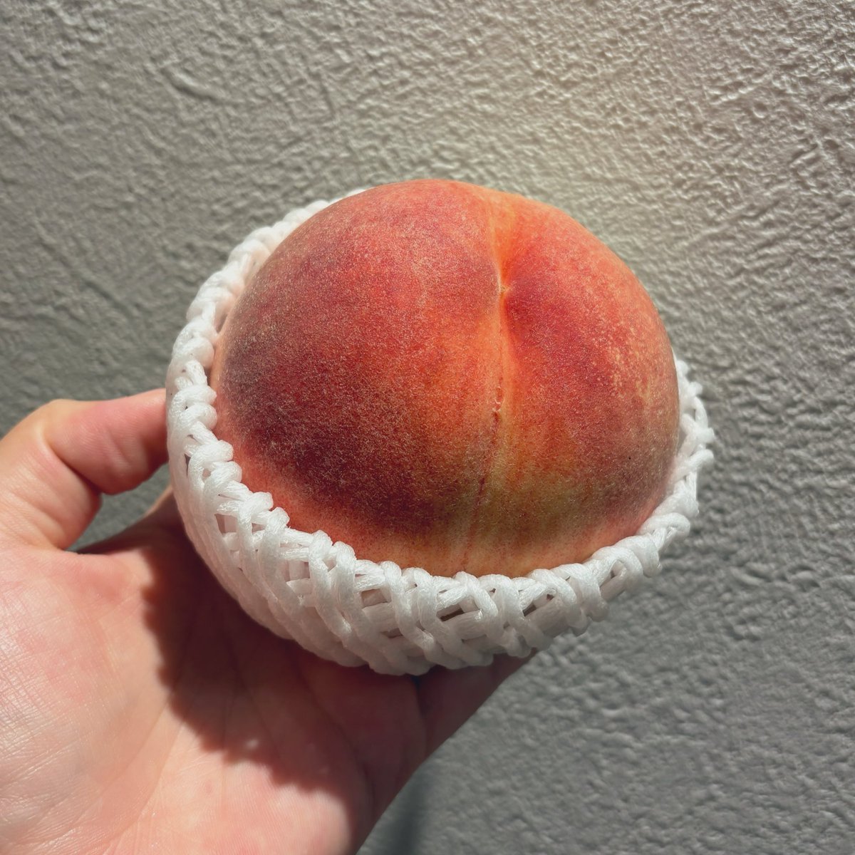 mmmnyss's tweet photo. 🍑 https://t.co/Qk9I4VkSUM