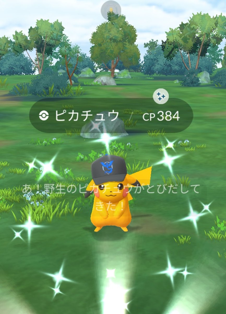 Treblinka10's tweet photo. #ポケモンGO https://t.co/dQ6Md89JlG