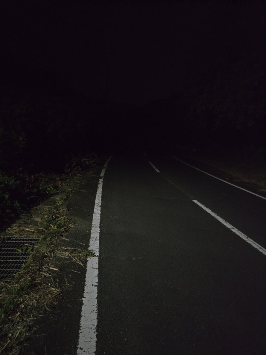 umekete's tweet photo. 田舎はウォーキングも命懸け https://t.co/ov6FdmXM88